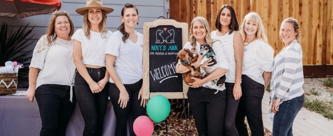 Local dog rescue celebrates two-year anniversary