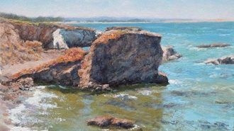 Art Center Morro Bay presenting, 'Show Off' and 'Wildlife' exhibits