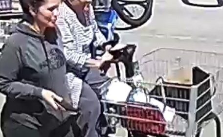 Authorities seeking help identifying Costco theft suspects