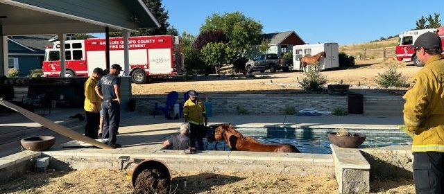 Firefighters rescue horse trapped in San Miguel pool