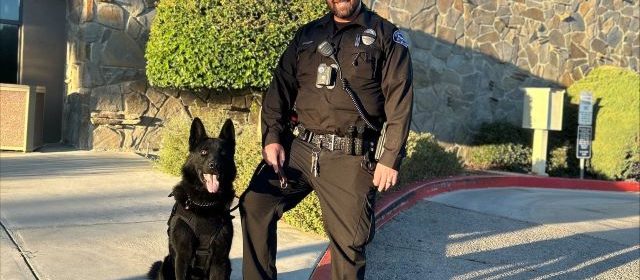 Atascadero Police welcome new K9 officer Maverick