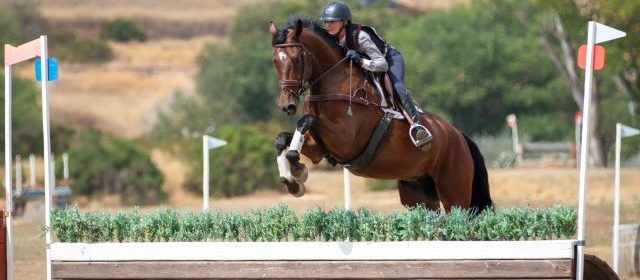 Veterans and rising stars shine at Twin Rivers