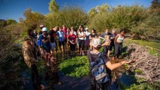 SLO Beaver Brigade receives grant for Salinas River restoration