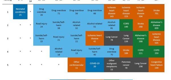 New SLO County data highlights leading causes of death