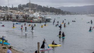 Morro Bay paddle event brings witches to the water