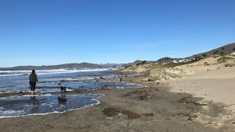 Cal Poly invites community to document king tides Saturday