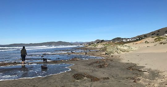 Cal Poly invites community to document king tides Saturday
