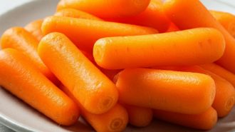 E. coli contamination prompts recall of organic baby carrots from Bakersfield