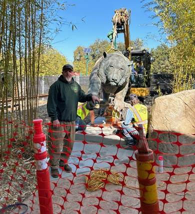 Zoo's bronze tiger sculpture moved to red panda exhibit