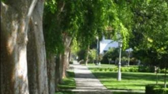 Cal Poly to lead California's urban forestry strategy