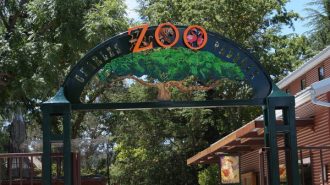 Ribbon cutting set for new aviary exhibit at Charles Paddock Zoo