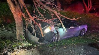 Speeding driver crashes at roundabout