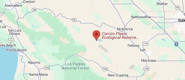 Prescribed burn scheduled at Carrizo Plains this week