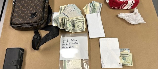 Avila Beach man arrested after drug, ammunition investigation