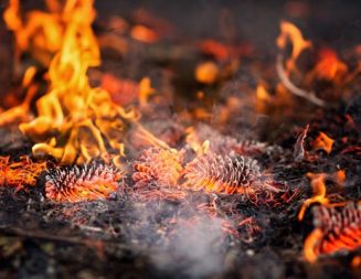 Burn season closes in Atascadero, alternatives encouraged