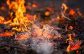 Burn season closes in Atascadero, alternatives encouraged