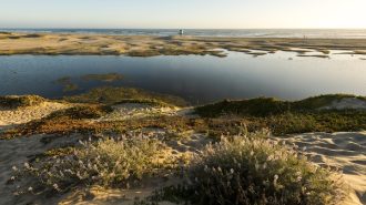 Pismo State Beach Photo by Brian Baer