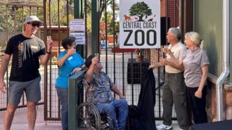Charles Paddock Zoo unveils new name, becomes Central Coast Zoo