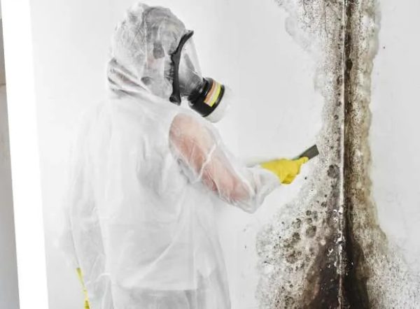 mold cleanup San Luis Obispo County