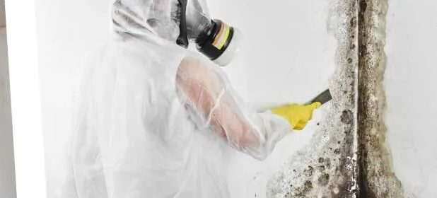 mold cleanup San Luis Obispo County