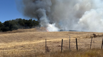Vegetation fire burns 40 acres in Atascadero
