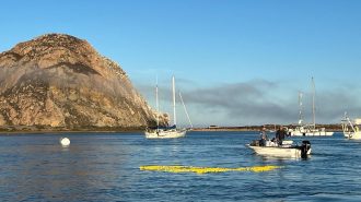 Rubber duck race returns to Morro Bay
