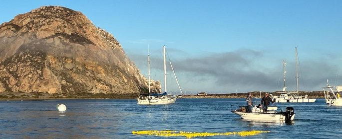 Rubber duck race returns to Morro Bay