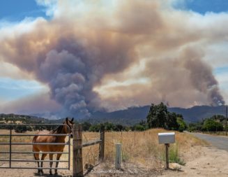 Update: Crews hold Gifford Fire within lines in Garcia Wilderness