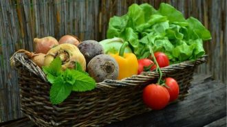 PG&E Foundation contributes to local food banks during SNAP cuts