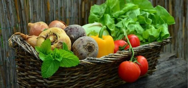 PG&E Foundation contributes to local food banks during SNAP cuts