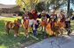 ECHO hosts annual Turkey Trot at Atascadero Lake Park