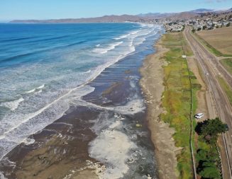 Cal Poly, State Parks invite community to play ‘Tide and Seek’ during king tides this week