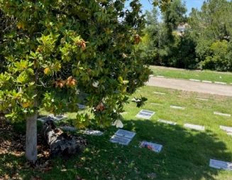Atascadero Cemetery District updates flower policy