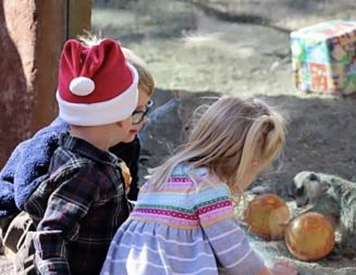 Holiday Magic returns to Central Coast Zoo Dec. 20