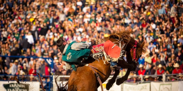 Tickets go on sale for Poly Royal Rodeo