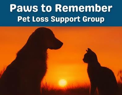 Humane society launches pet loss support group