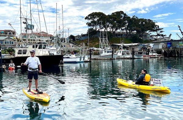 Morro Bay State Park seeks kayak and stand-up paddleboard volunteers