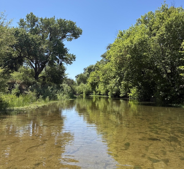 SLO Beaver Brigade hosting summer river cleanups in North County