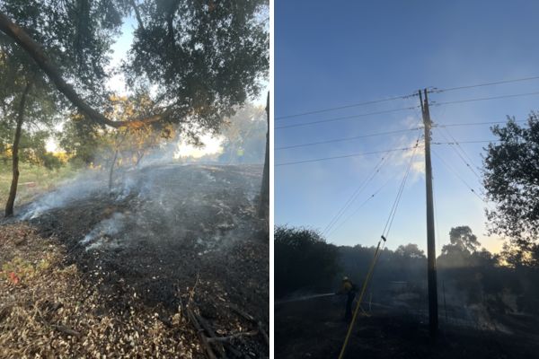 Bird flying into power lines ignites fire in Atascadero