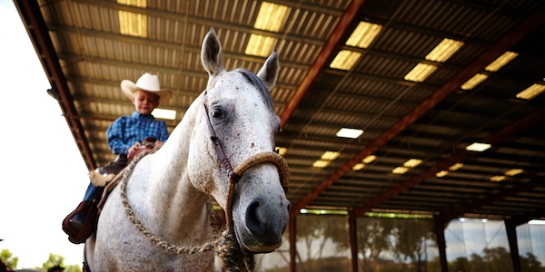 Mid-State Fair highlights new features