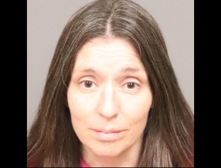 Driver pleads guilty to vehicular manslaughter