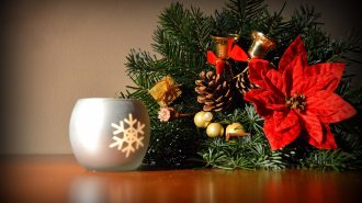 Holiday floral arrangement with a red poinsettia, pine and a snowflake candle holder