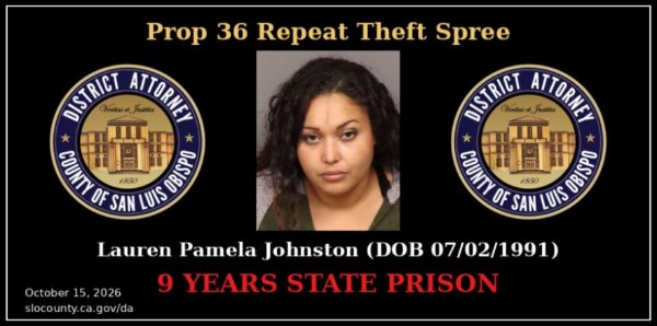 Paso Robles woman sentenced to 9 years in prison for North County car break-ins, identity theft