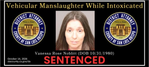 Driver sentenced to 9 years, 8 months for DUI crash that killed cyclist