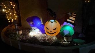 Halloween decorations at Zoo Boo at the Central Coast Zoo in Atascadero